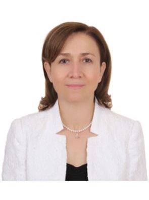  Prof. Dr. Yıldız Özsoy Erginer