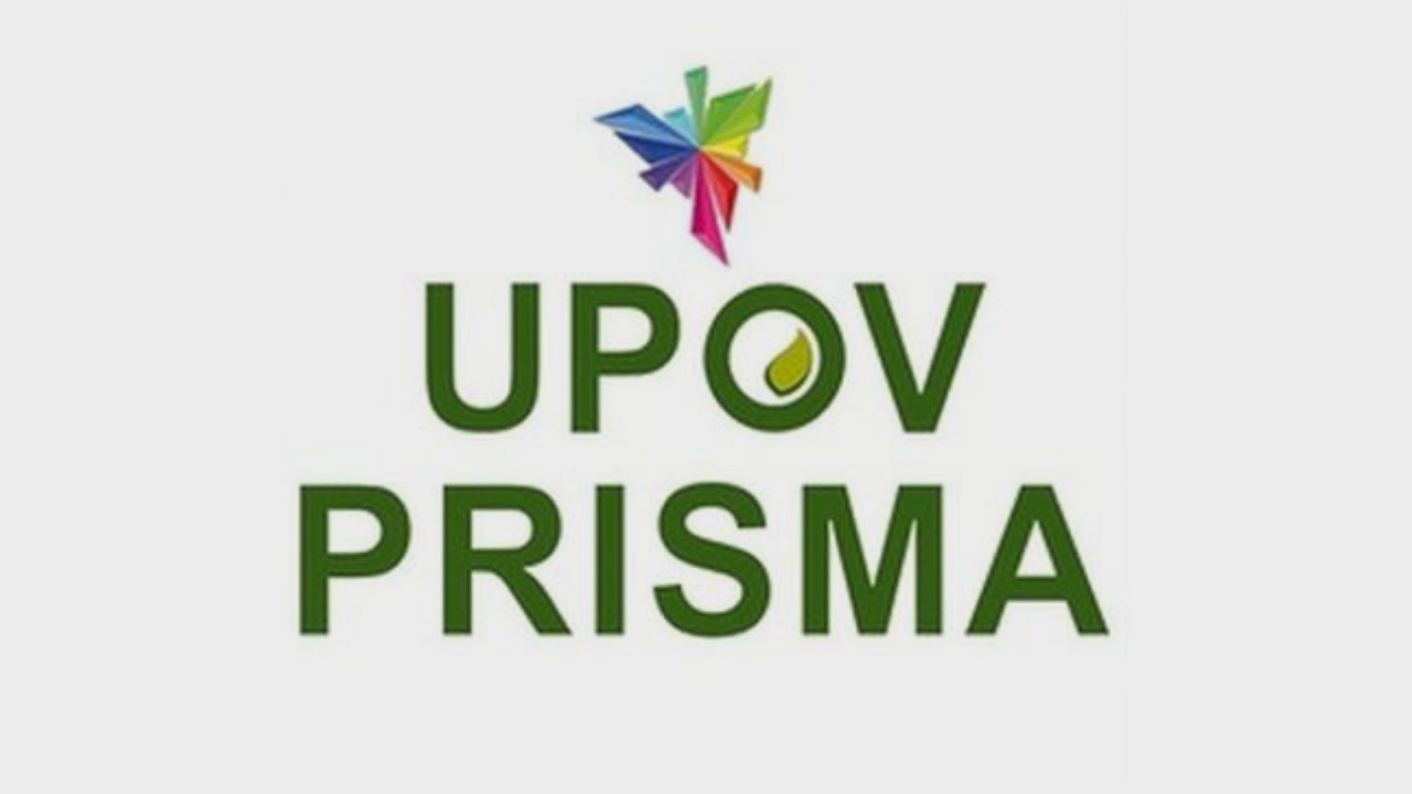 Digital Transformation in Plant Breeders’ Rights: UPOV PRISMA